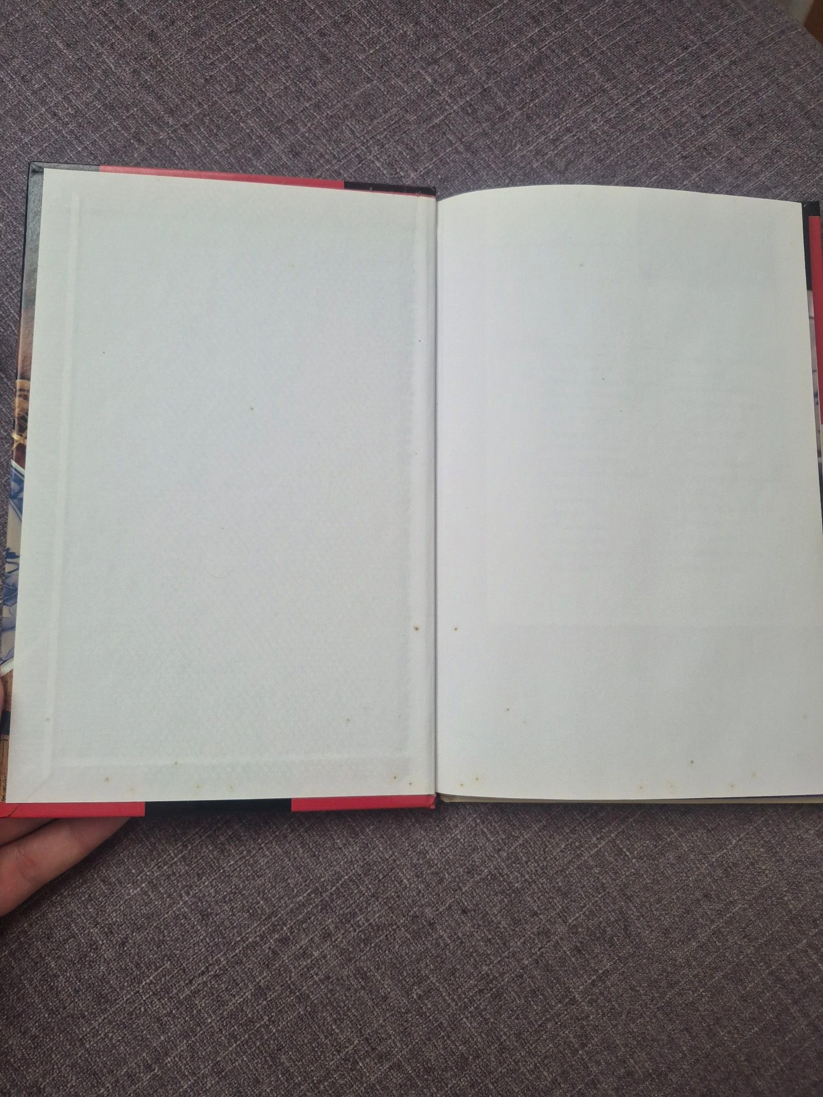 Book Delights  Conventual – photo 3